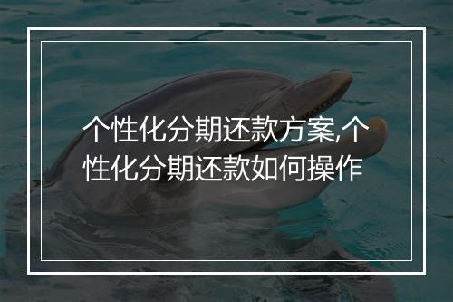个性化分期还款方案,个性化分期还款如何操作