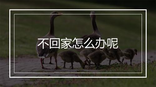 不回家怎么办呢