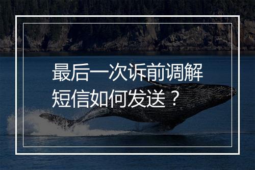 最后一次诉前调解短信如何发送？