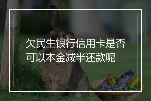 欠民生银行信用卡是否可以本金减半还款呢
