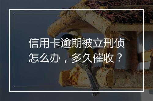 信用卡逾期被立刑侦怎么办，多久催收？
