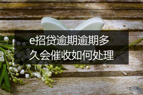 e招贷逾期逾期多久会催收如何处理