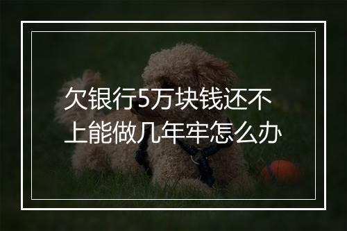 欠银行5万块钱还不上能做几年牢怎么办