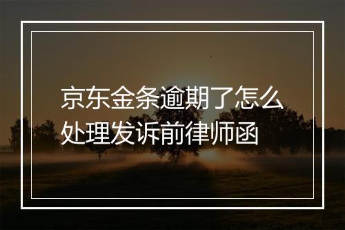 京东金条逾期了怎么处理发诉前律师函