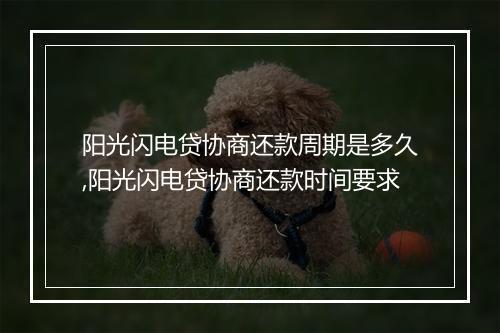 阳光闪电贷协商还款周期是多久,阳光闪电贷协商还款时间要求