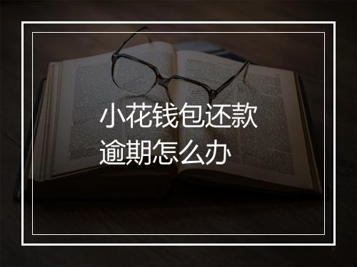 小花钱包还款逾期怎么办