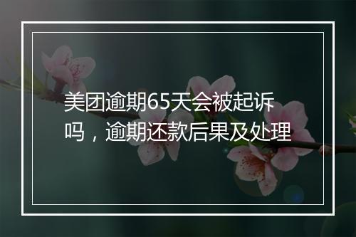 美团逾期65天会被起诉吗，逾期还款后果及处理