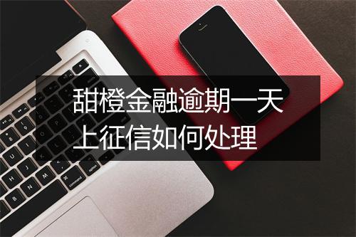 甜橙金融逾期一天上征信如何处理