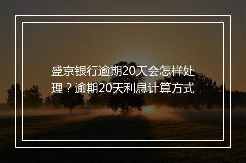 盛京银行逾期20天会怎样处理？逾期20天利息计算方式