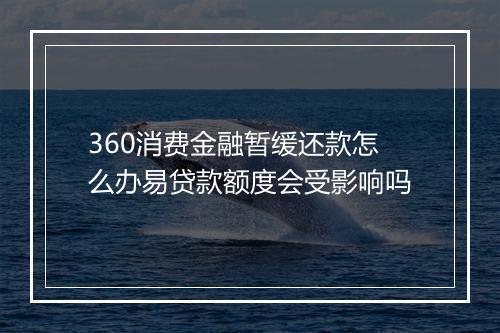 360消费金融暂缓还款怎么办易贷款额度会受影响吗