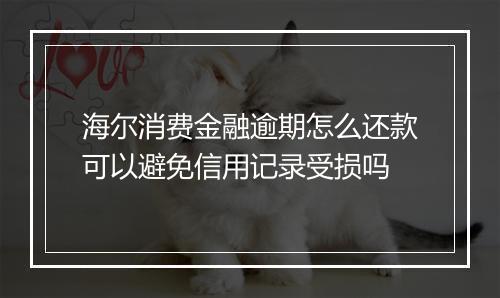 海尔消费金融逾期怎么还款可以避免信用记录受损吗