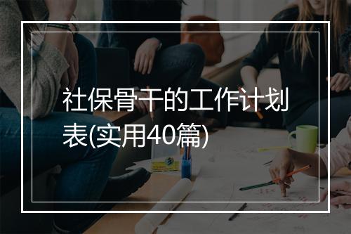 社保骨干的工作计划表(实用40篇)