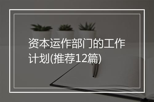 资本运作部门的工作计划(推荐12篇)