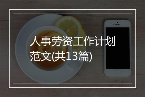 人事劳资工作计划范文(共13篇)