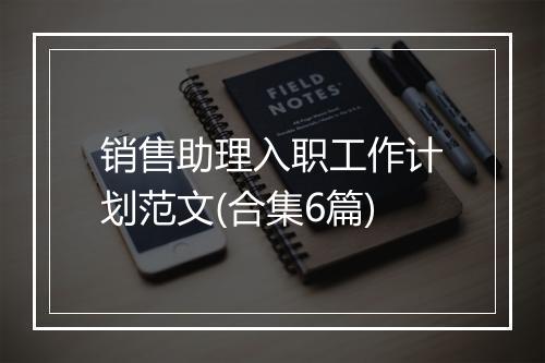 销售助理入职工作计划范文(合集6篇)