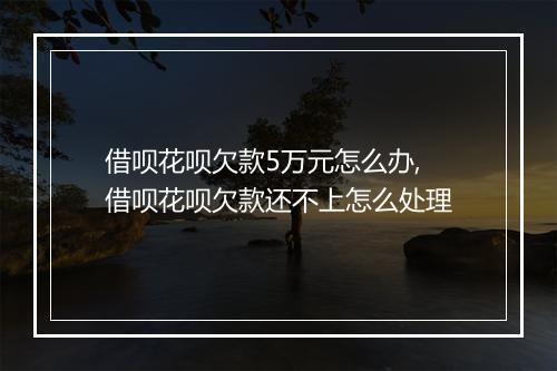 借呗花呗欠款5万元怎么办,借呗花呗欠款还不上怎么处理
