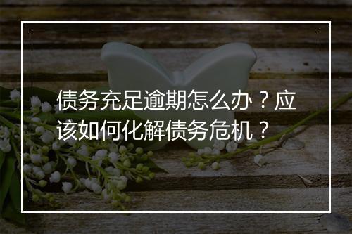 债务充足逾期怎么办？应该如何化解债务危机？