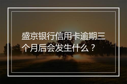 盛京银行信用卡逾期三个月后会发生什么？