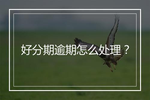 好分期逾期怎么处理？