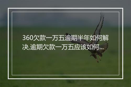 360欠款一万五逾期半年如何解决,逾期欠款一万五应该如何处理