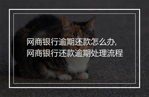 网商银行逾期还款怎么办,网商银行还款逾期处理流程