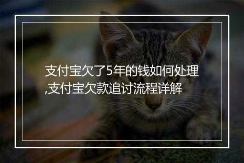 支付宝欠了5年的钱如何处理,支付宝欠款追讨流程详解