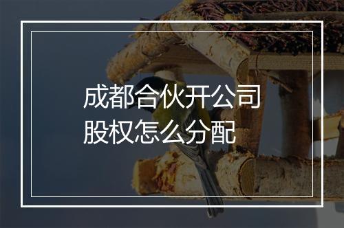 成都合伙开公司股权怎么分配