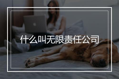 什么叫无限责任公司