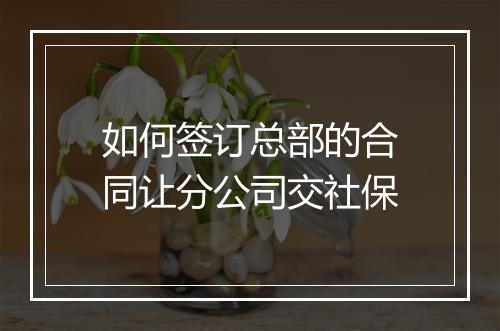 如何签订总部的合同让分公司交社保