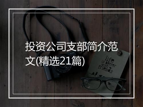 投资公司支部简介范文(精选21篇)