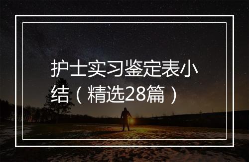 护士实习鉴定表小结（精选28篇）