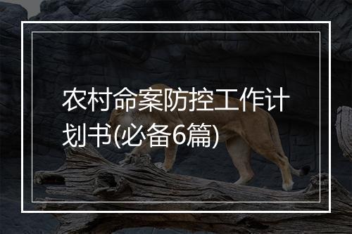 农村命案防控工作计划书(必备6篇)