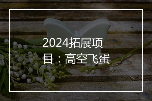 2024拓展项目：高空飞蛋