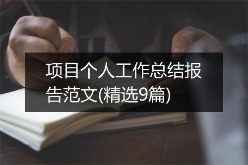 项目个人工作总结报告范文(精选9篇)