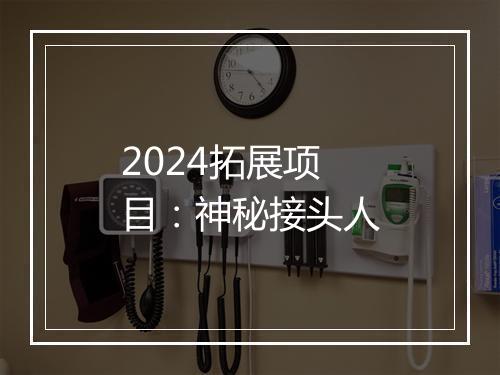2024拓展项目：神秘接头人
