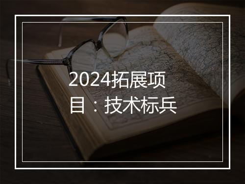 2024拓展项目：技术标兵