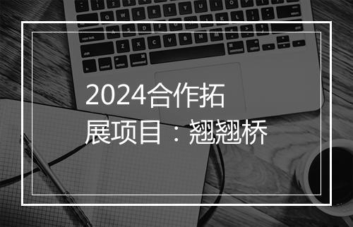 2024合作拓展项目：翘翘桥