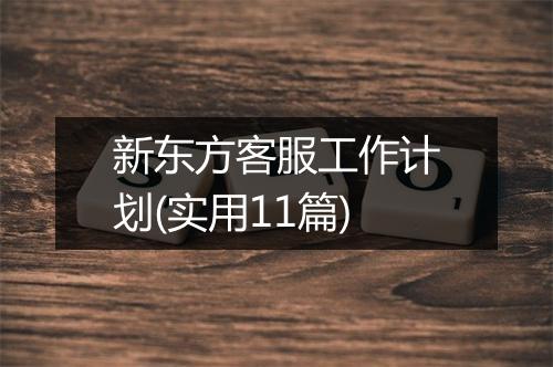 新东方客服工作计划(实用11篇)