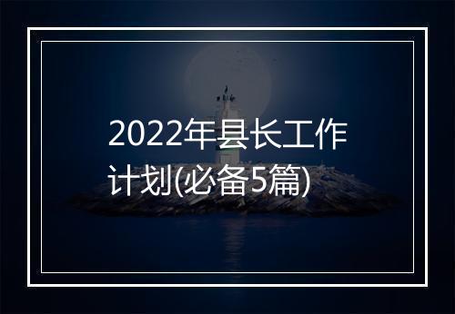 2022年县长工作计划(必备5篇)