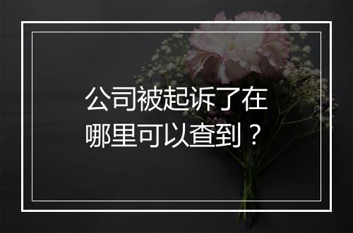 公司被起诉了在哪里可以查到？