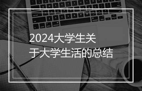 2024大学生关于大学生活的总结