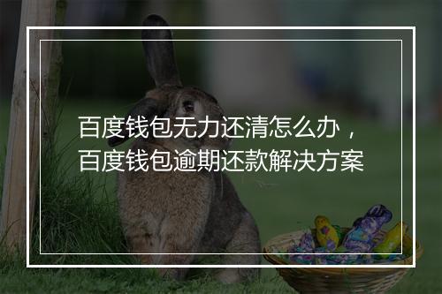 百度钱包无力还清怎么办，百度钱包逾期还款解决方案