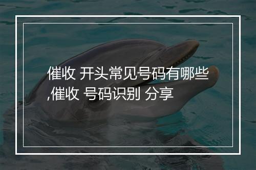 催收 开头常见号码有哪些,催收 号码识别 分享