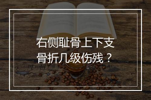 右侧耻骨上下支骨折几级伤残？