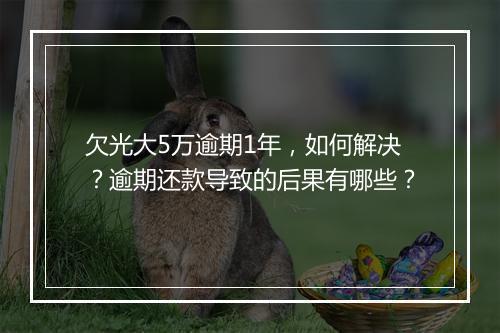 欠光大5万逾期1年，如何解决？逾期还款导致的后果有哪些？