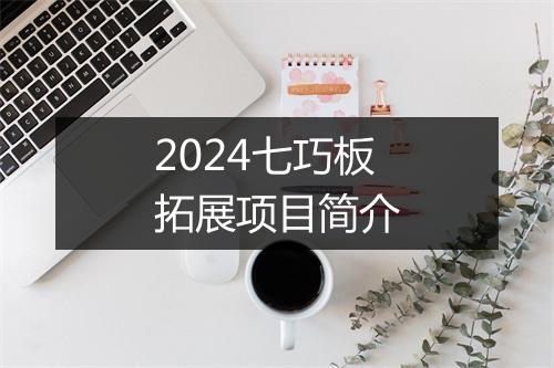 2024七巧板拓展项目简介