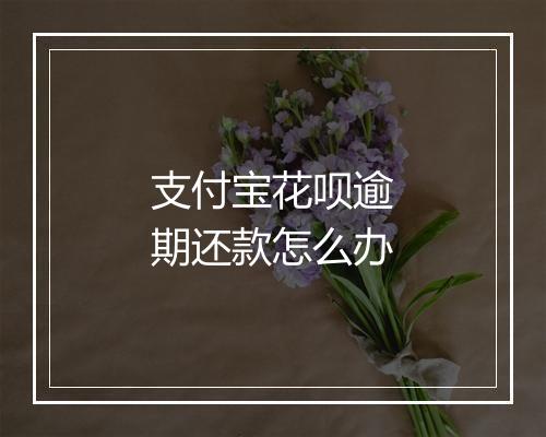 支付宝花呗逾期还款怎么办