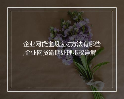 企业网贷逾期应对方法有哪些,企业网贷逾期处理步骤详解