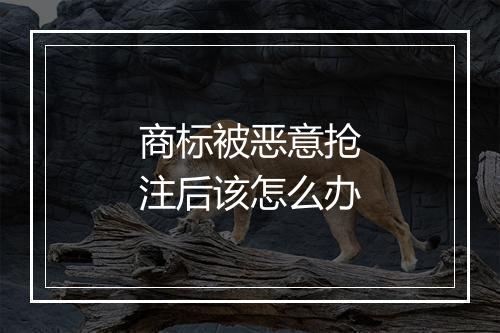 商标被恶意抢注后该怎么办