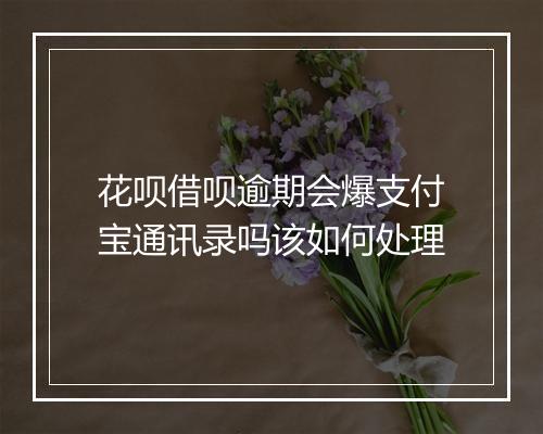 花呗借呗逾期会爆支付宝通讯录吗该如何处理